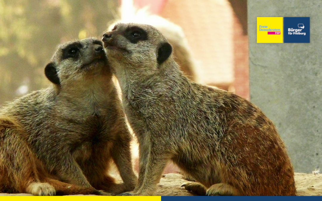 Mehr Platz für den Mundenhof