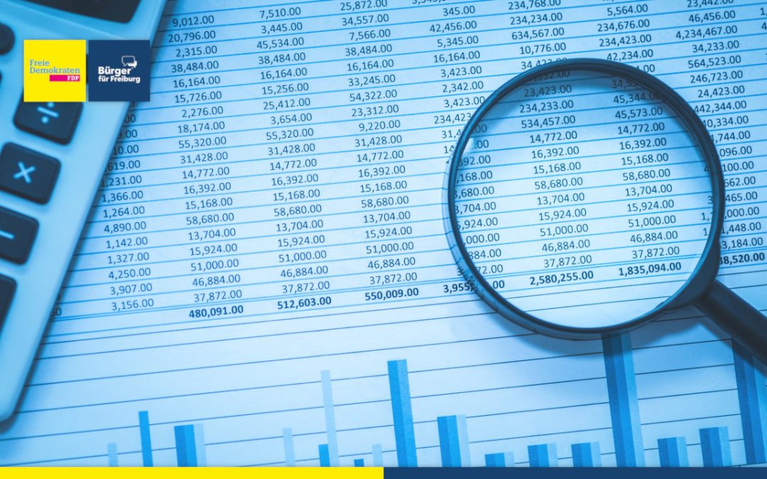 Redebeitrag: Sascha Fiek zum Beteiligungsbericht