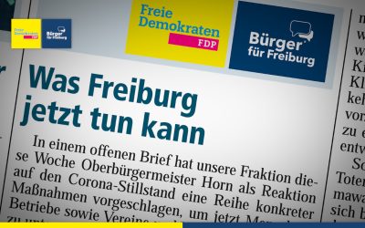 Amtsblatt-Artikel: Was Freiburg jetzt tun kann