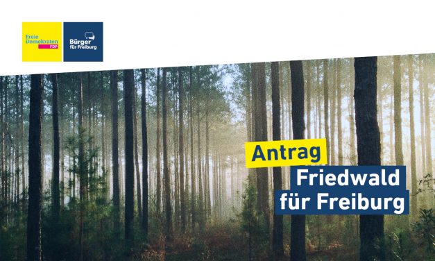 Antrag: Freiburger Friedwald