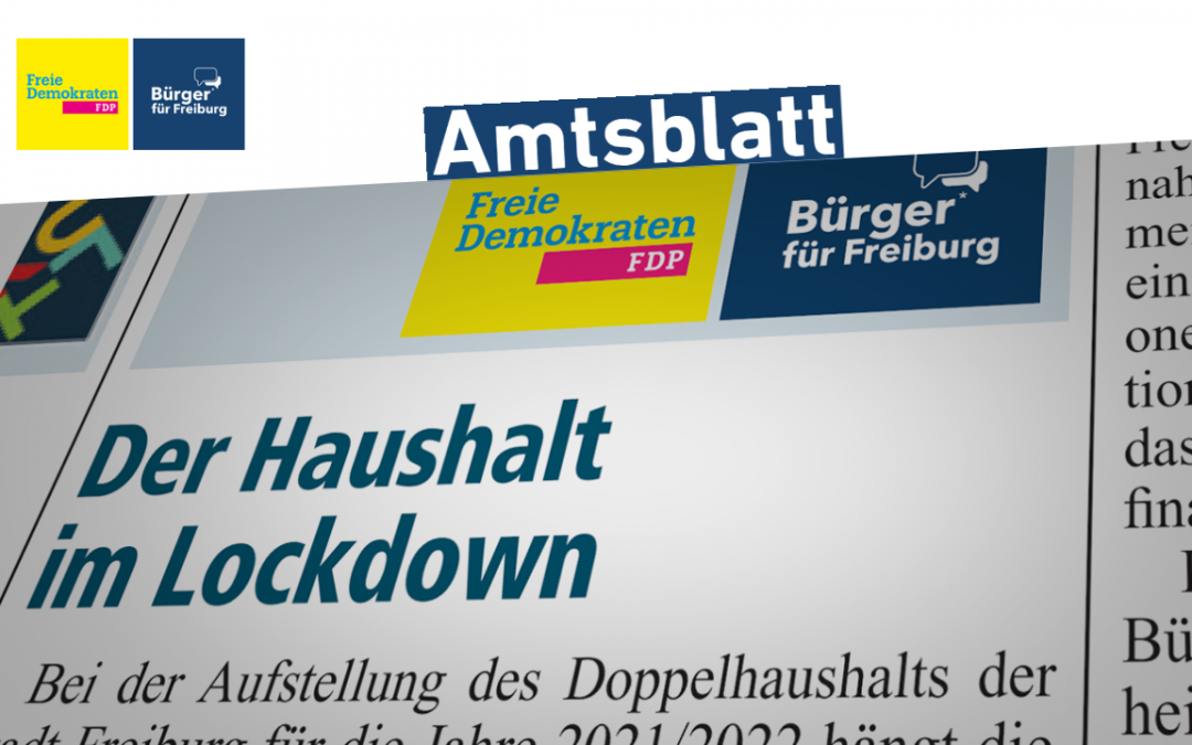 Amtsblatt: Haushalt im Lockdown