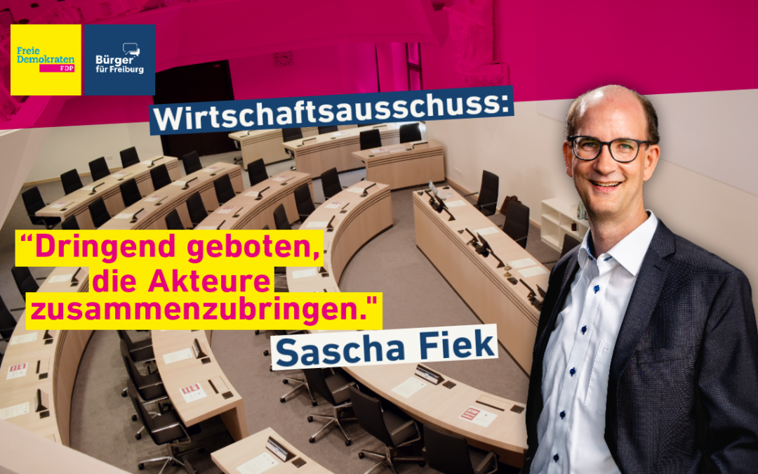 Redebeitrag: Sascha Fiek zum Wirtschaftsausschuss