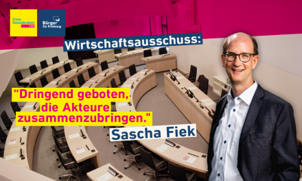 Redebeitrag: Sascha Fiek zum Wirtschaftsausschuss