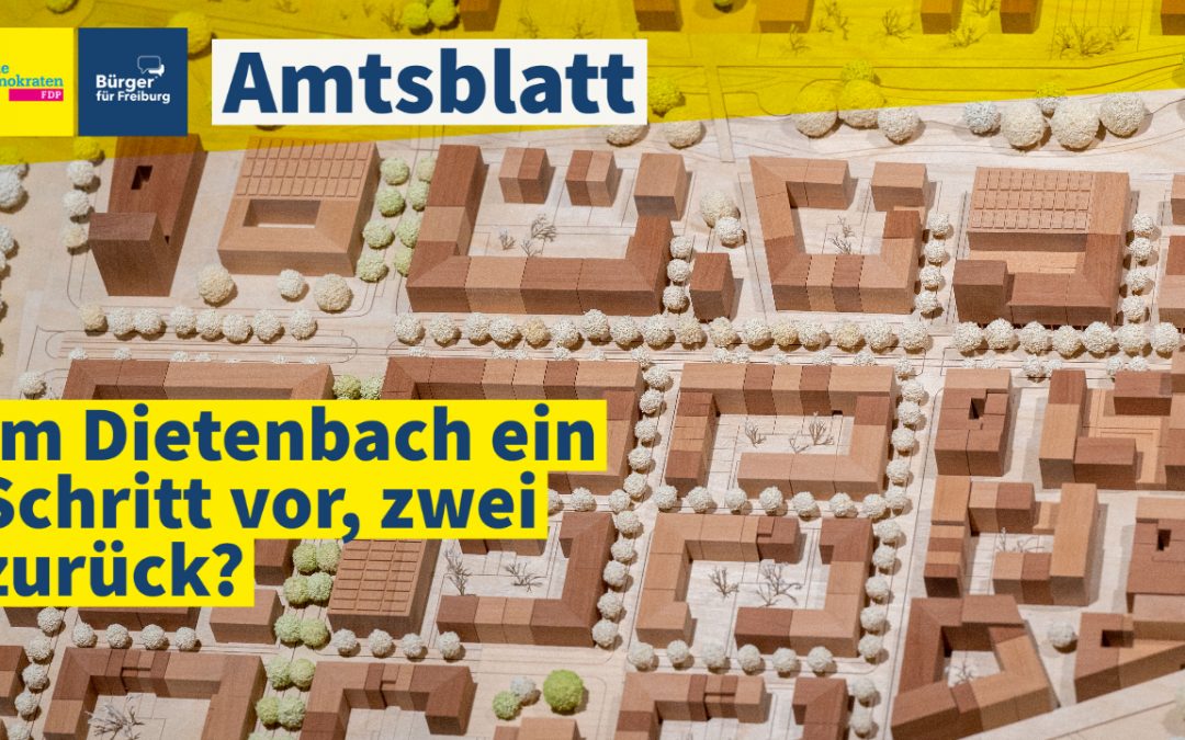 Amtsblatt: In Dietenbach ein Schritt vor, zwei zurück?