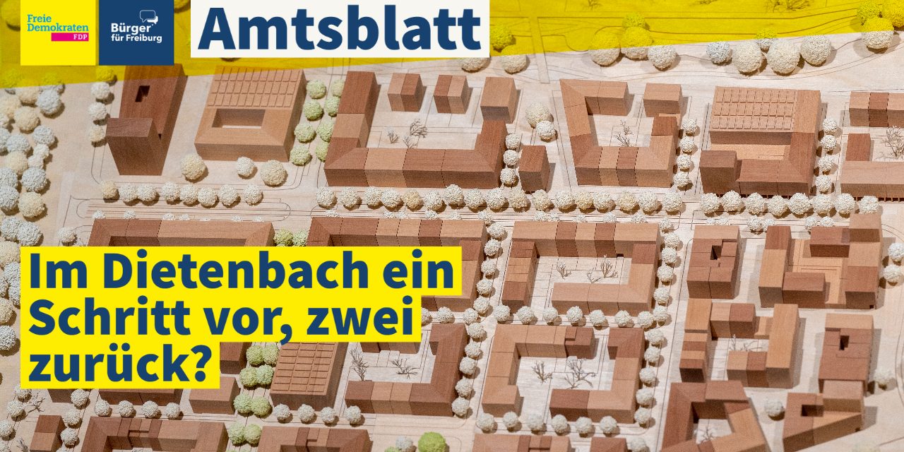 Amtsblatt: In Dietenbach ein Schritt vor, zwei zurück?