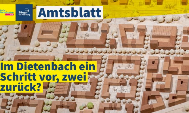 Amtsblatt: In Dietenbach ein Schritt vor, zwei zurück?