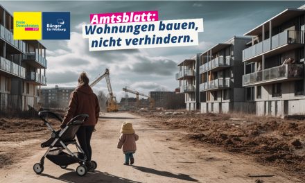 Amtsblatt: Zwiespalt in der Baupolitik